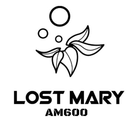 Lost Mary AM600